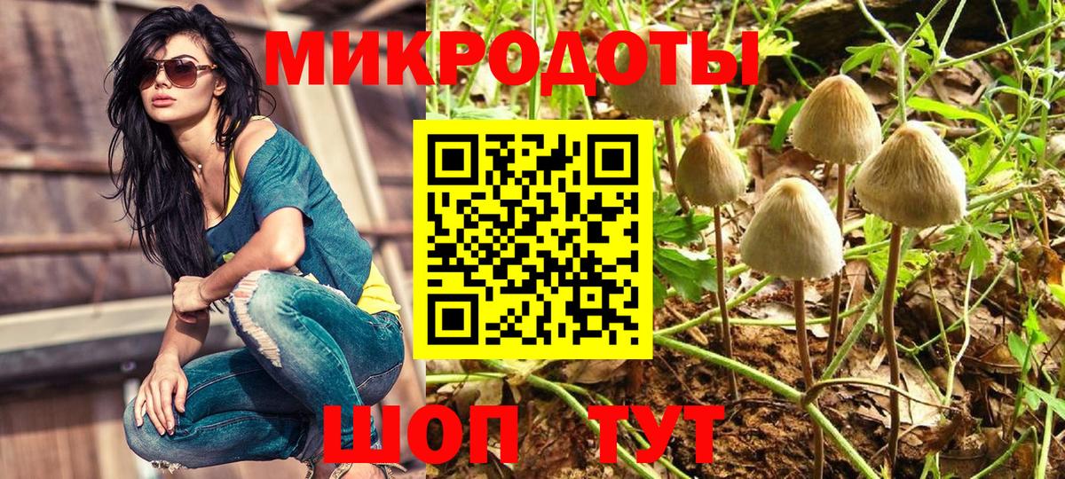 Галлюциногенные грибы Psilocybe Коммунар